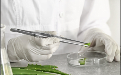 Innovation cosmétique : Biomimétisme